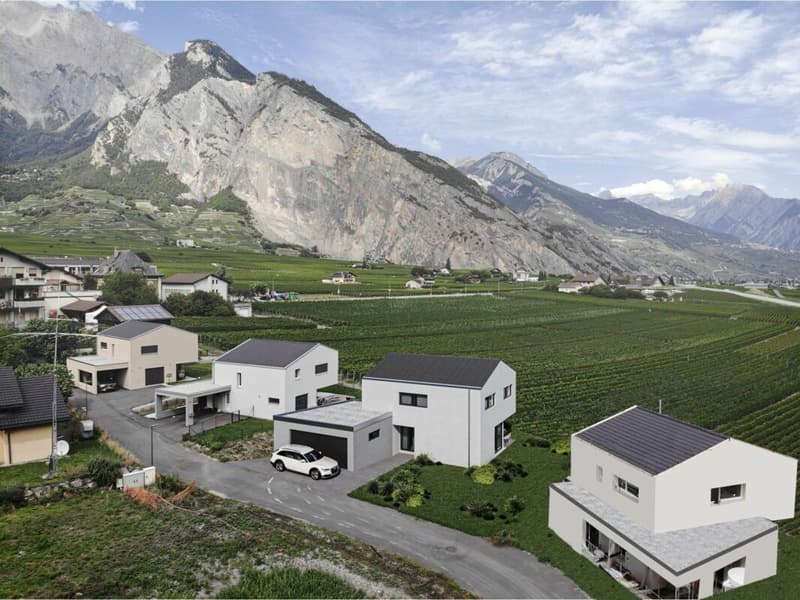 Villa contemporaine de 4.5 pièces avec garage double (3)