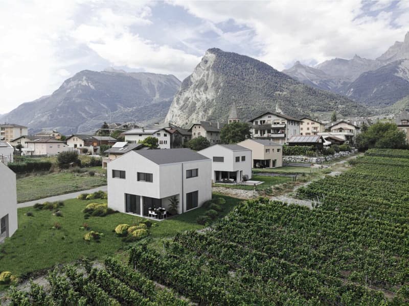 Villa contemporaine de 4.5 pièces avec garage double (2)