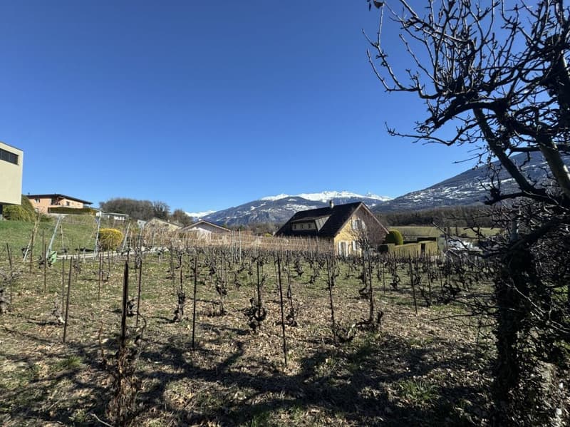 Villa Diolly (9)
