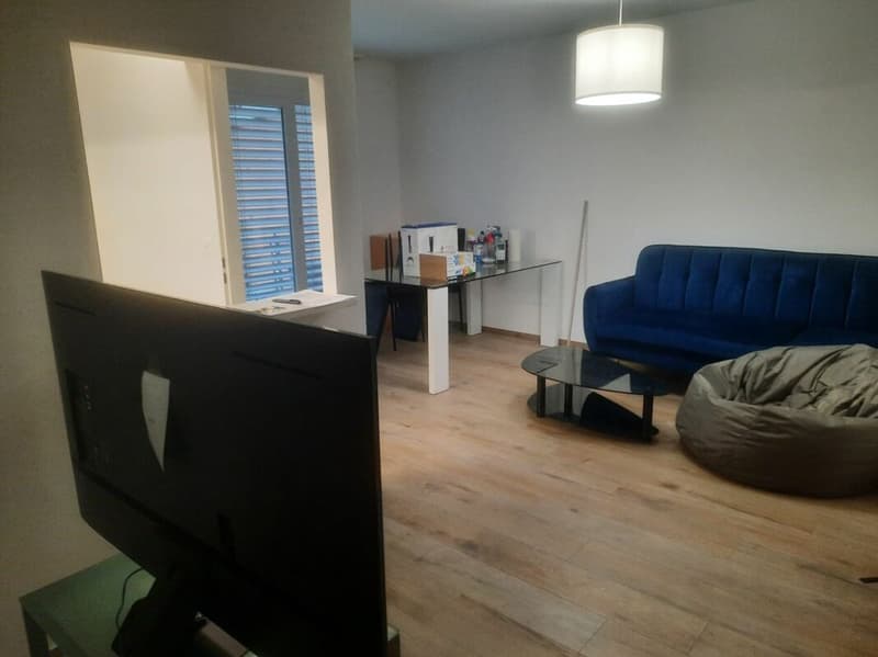 2.5-Room Apartment - Sierre (2)