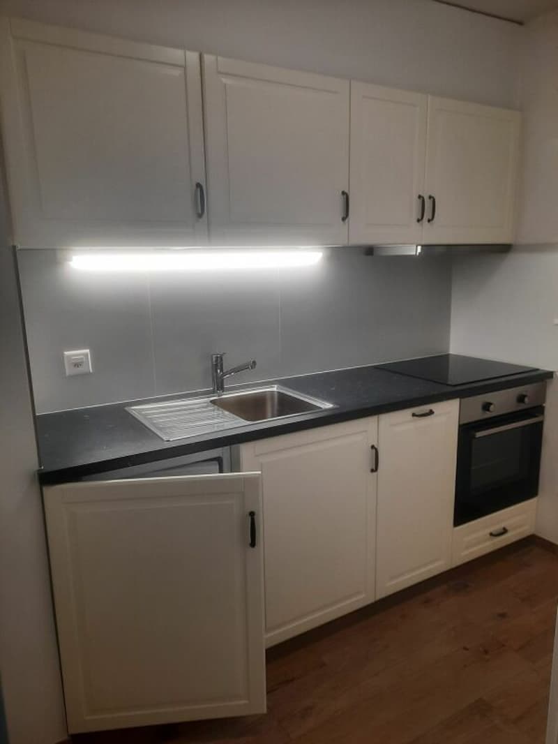 2.5-Room Apartment - Sierre (3)