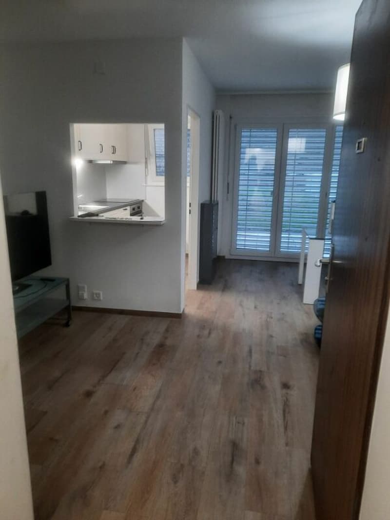2.5-Room Apartment - Sierre (7)