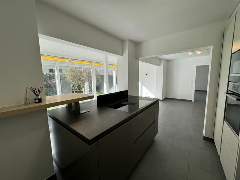 Individual villa with 11 rooms (4)