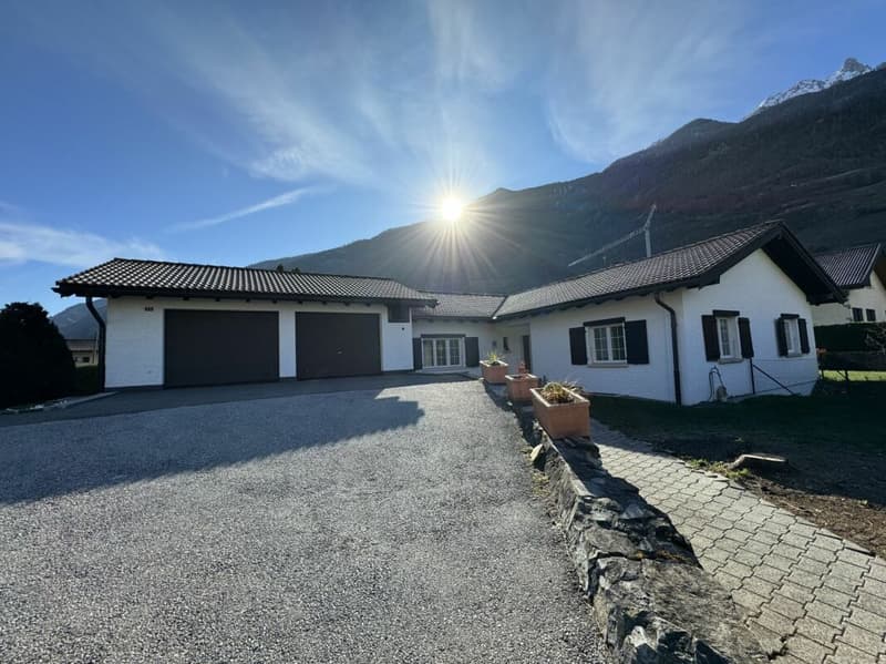 Individual villa with 11 rooms (1)