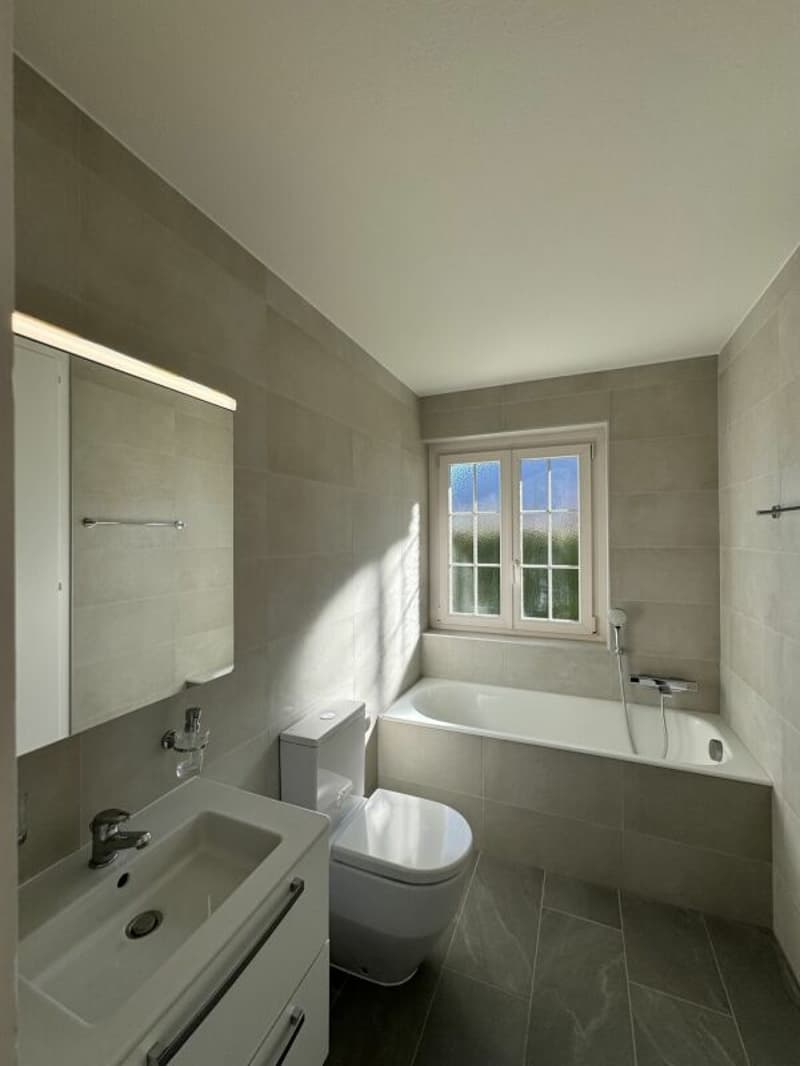 Individual villa with 11 rooms (14)