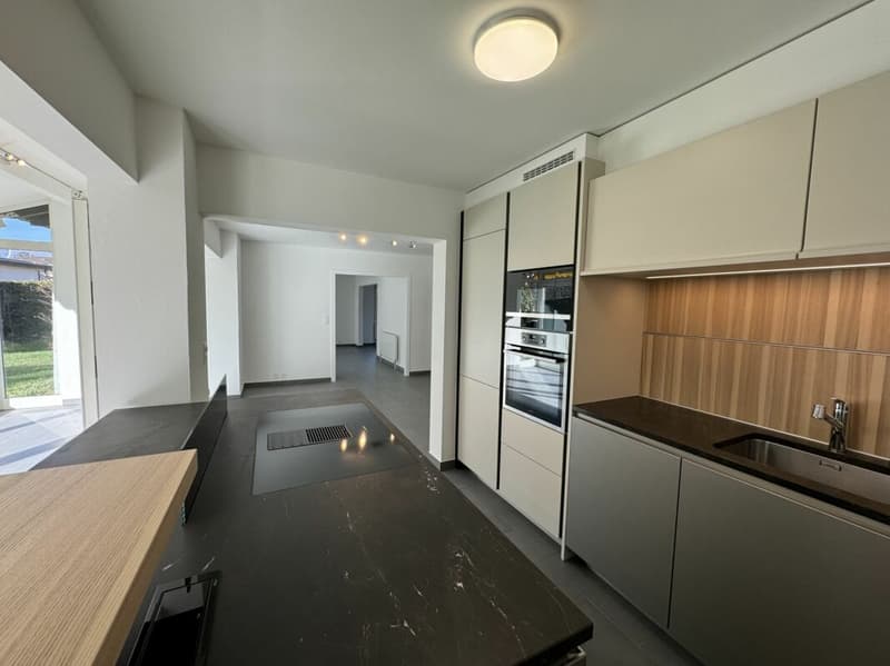 Individual villa with 11 rooms (3)