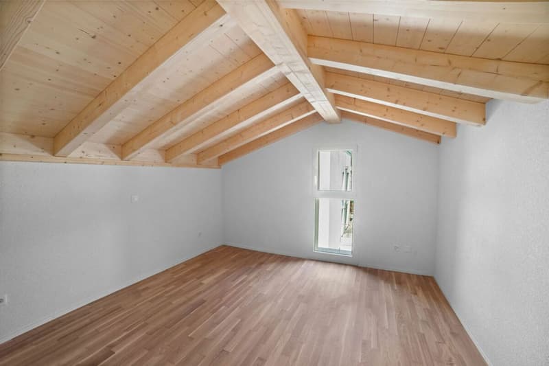 Attic of 3.5 rooms in a duplex in a NEW building! (3)