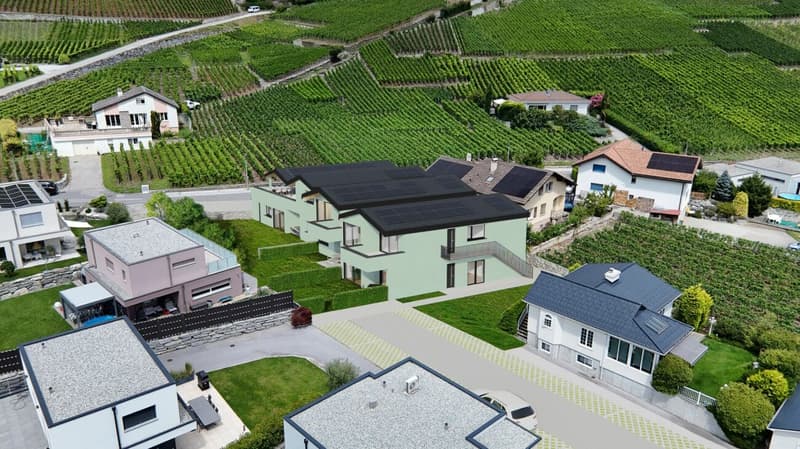 The "L'Ecrin du Soleil" Residence (5)