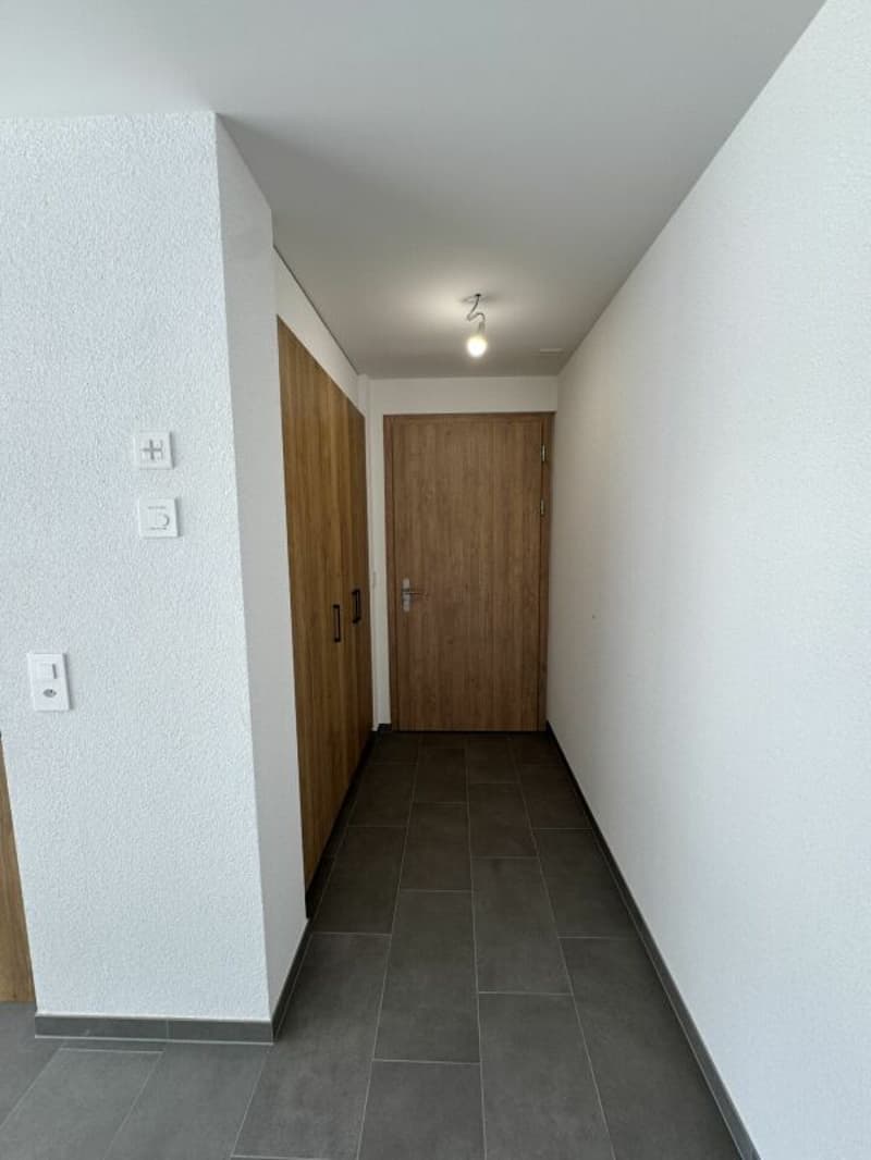 Appartement neuf de 4.5 pièces situé au centre de Riddes (15)