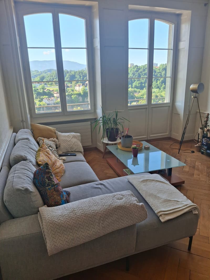 Magnifique appartement avec balcon et belle vue (6)