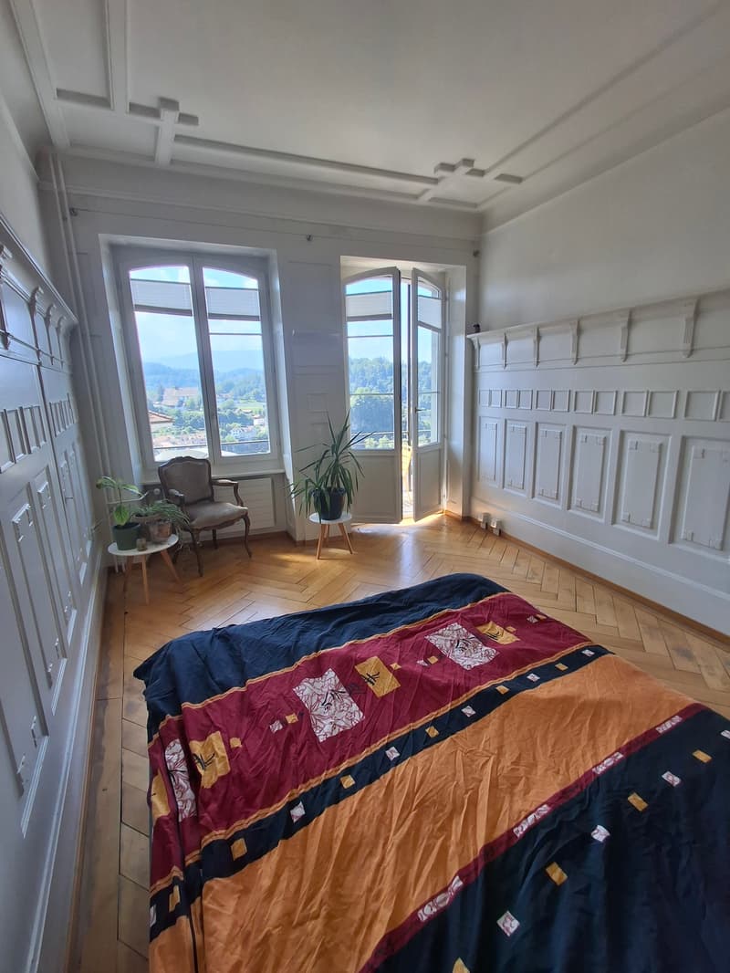 Magnifique appartement avec balcon et belle vue (7)