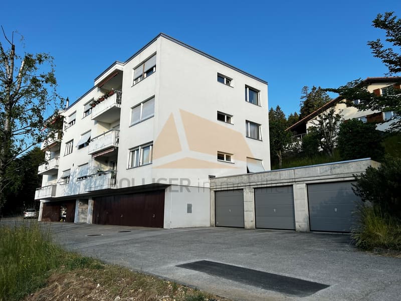 In Vendita   Appartamento di 5.5 locali e garage in PPE (2)