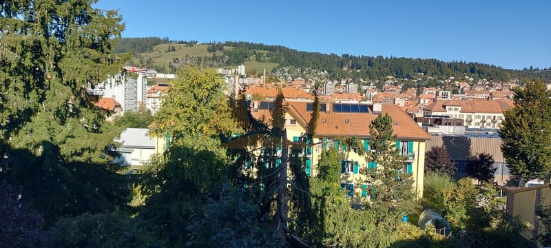 For Sale 4.5-Room Apartment with Balcony and Garage (8)