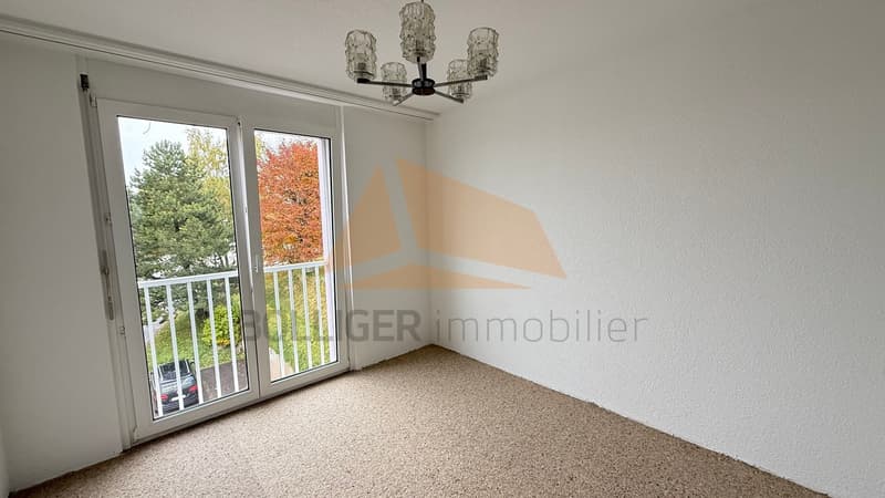 APARTMENT 4 ROOMS FOR SALE WITH GARAGE BOX (9)