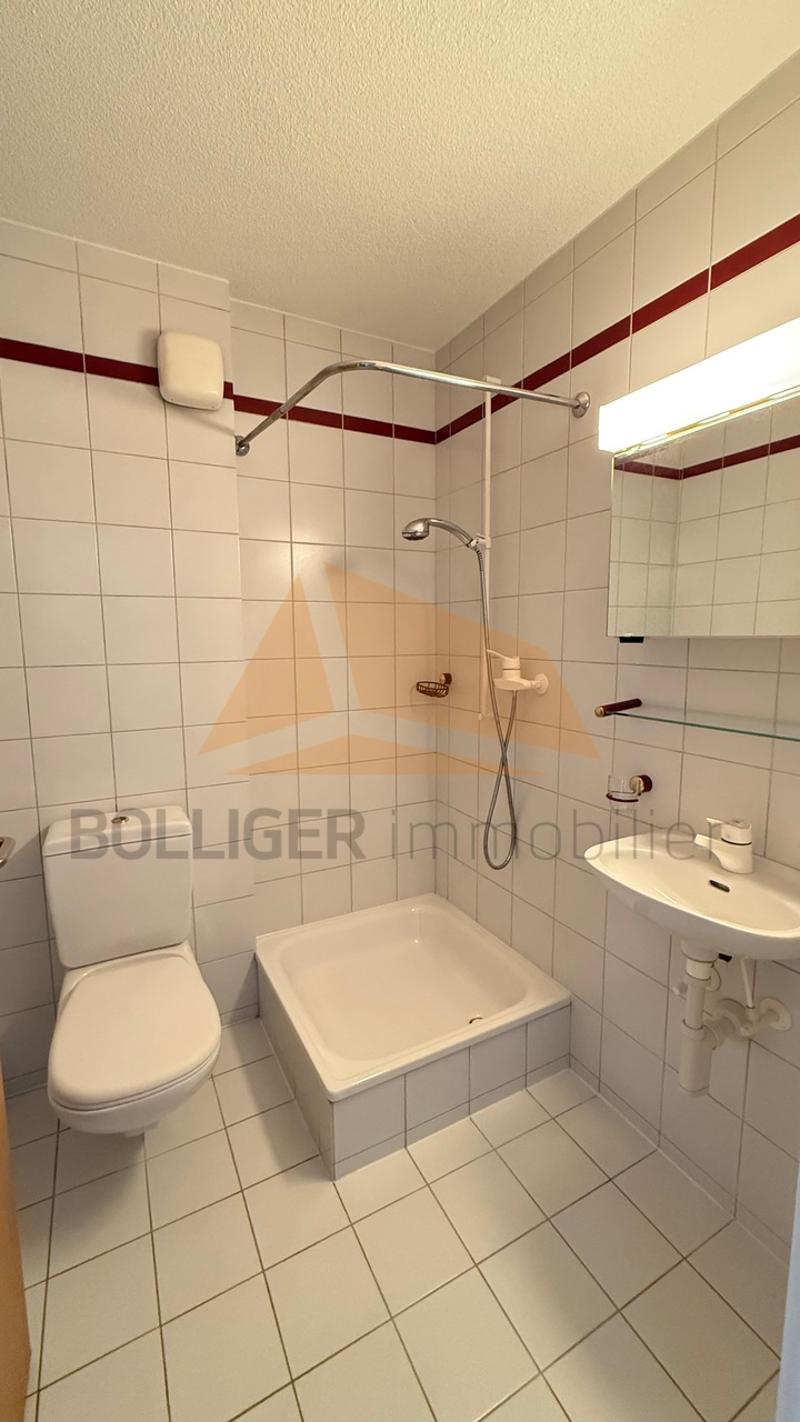 APARTMENT 4 ROOMS FOR SALE WITH GARAGE BOX (11)
