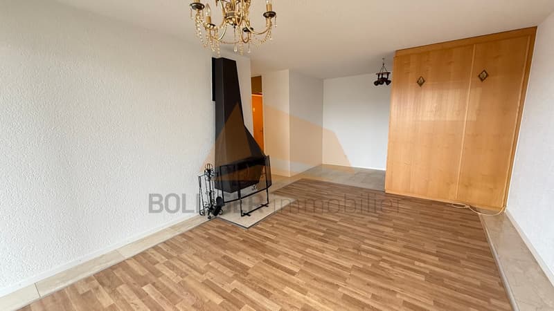 APARTMENT 4 ROOMS FOR SALE WITH GARAGE BOX (5)