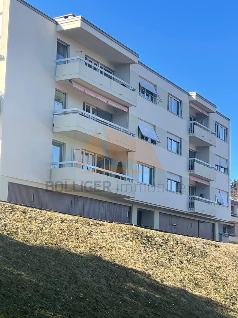 FOR SALE 4.5-ROOM APARTMENT IN PPE WITH GARAGE (2)