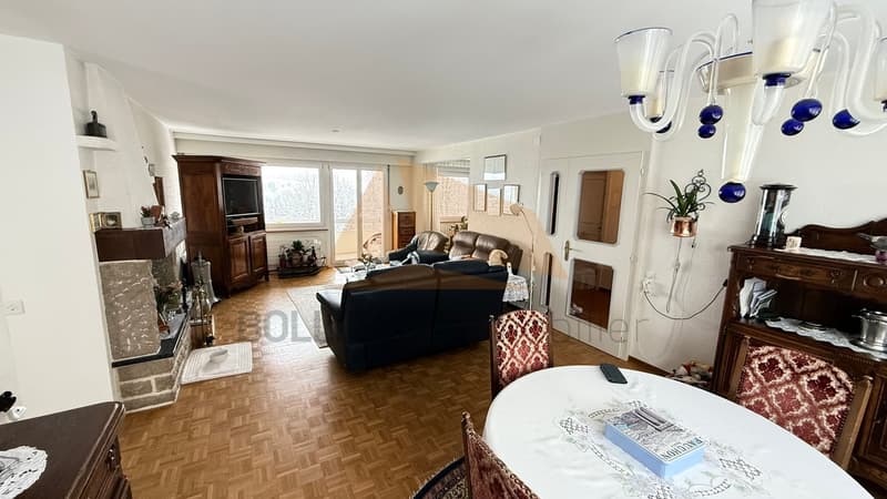 FOR SALE 4.5-ROOM APARTMENT IN PPE WITH GARAGE (4)