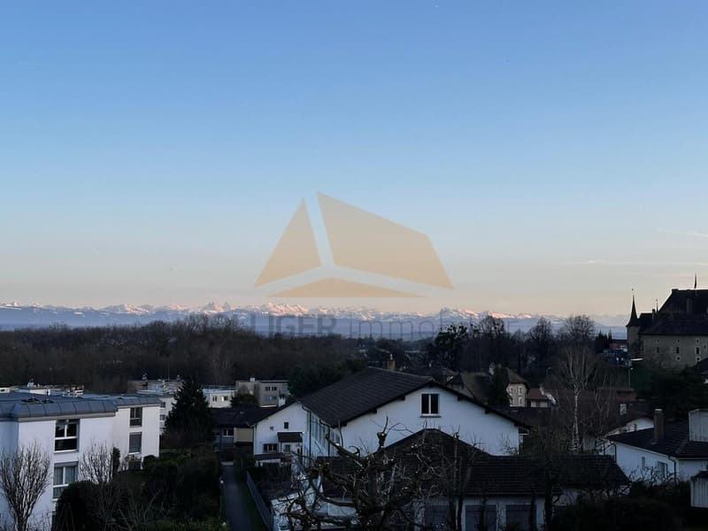 FOR SALE: MAGNIFICENT 4.5-ROOM APARTMENT IN PPE OF 137 M2 (13)