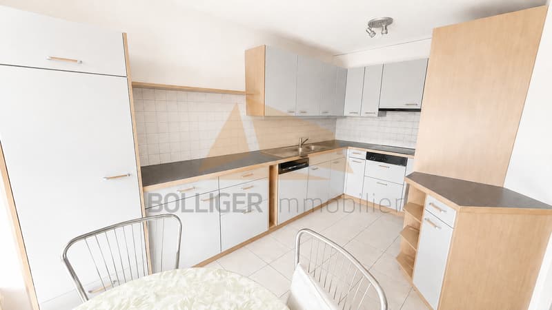 A VENDRE APPARTEMENT de 4 PIÈCES 111 M2 AVEC PLACE DE PARC EXTÉRIEURE (6)