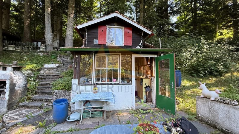 A VENDRE CHARMANTE PETITE MAISON FORESTIÈRE "CASITA" (1)