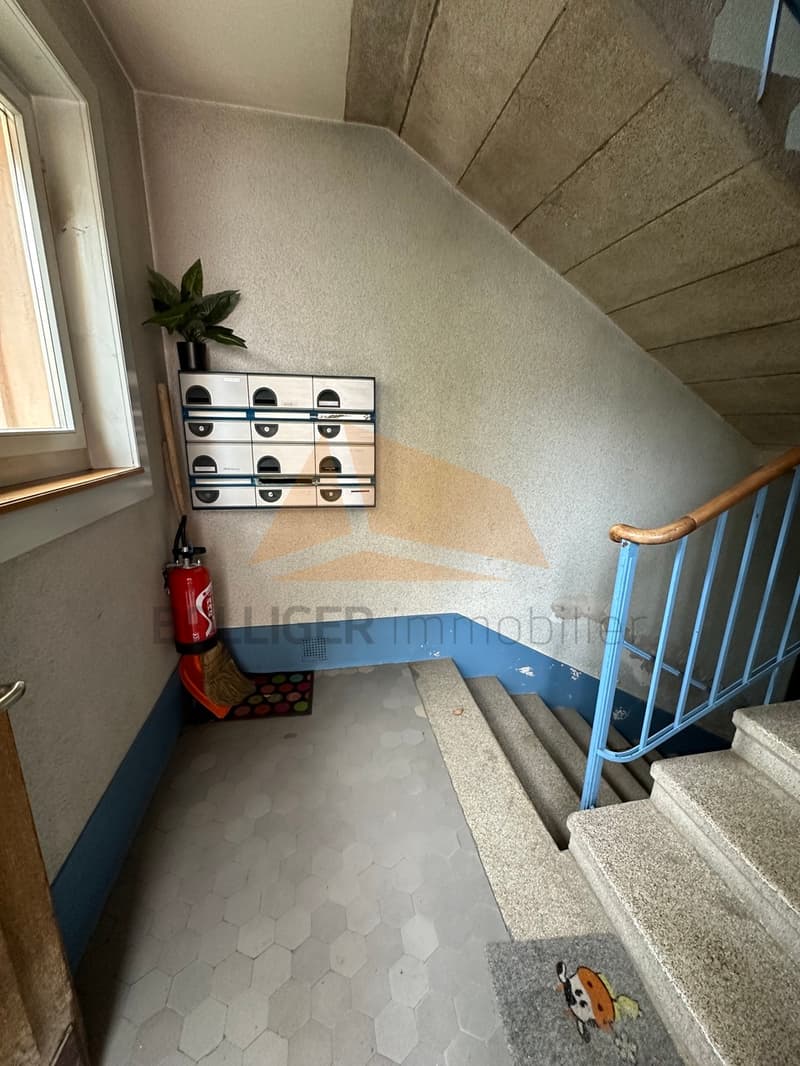 A VENDRE Appartement 2 pièces en PPE (3)