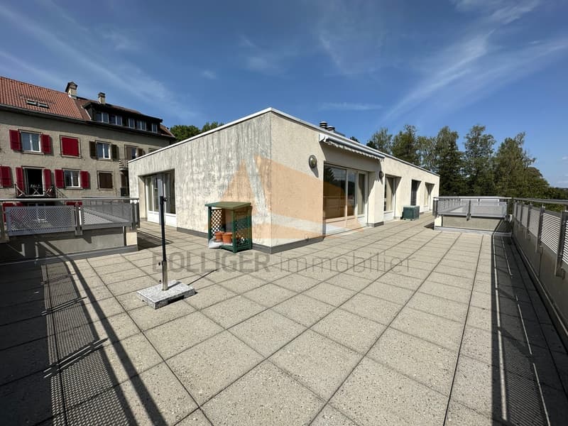 A VENDRE magnifique attique de 5.5 pièces et annexes (12)