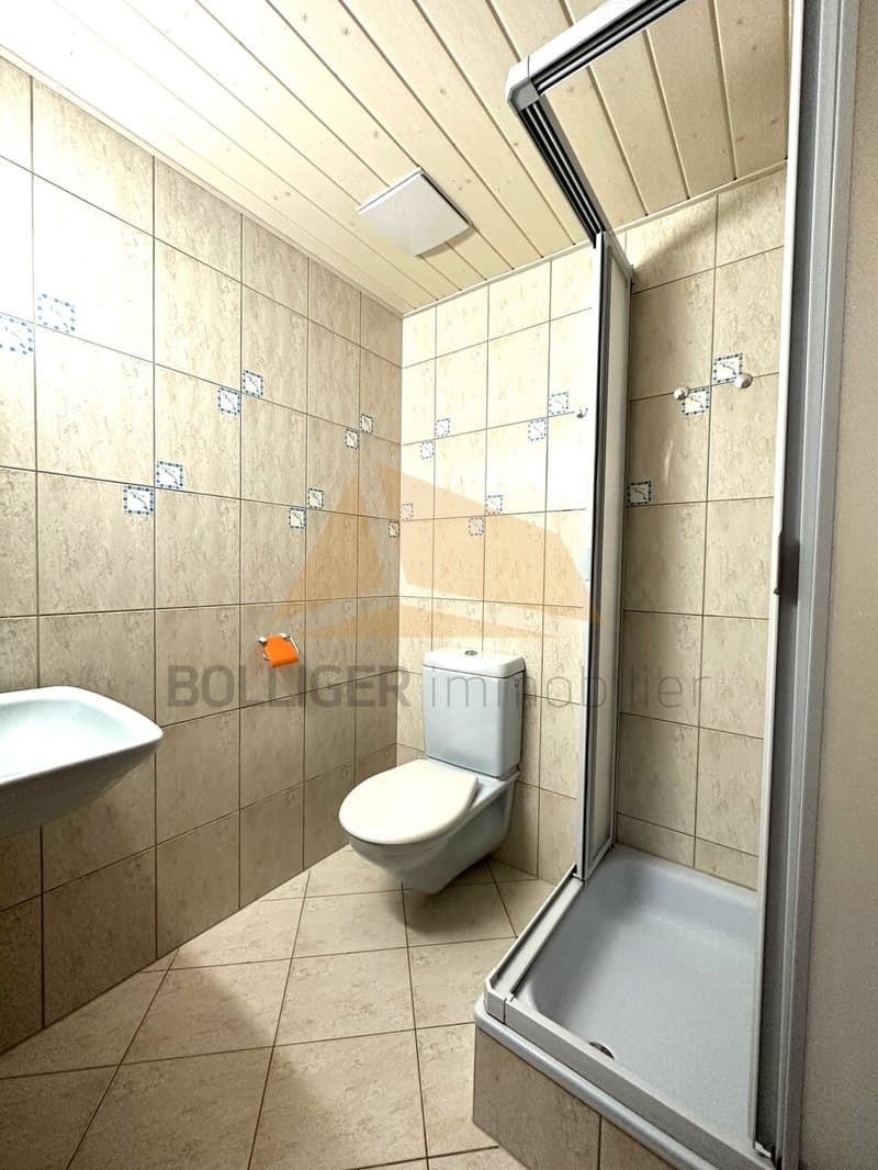 A VENDRE magnifique attique de 5.5 pièces et annexes (11)