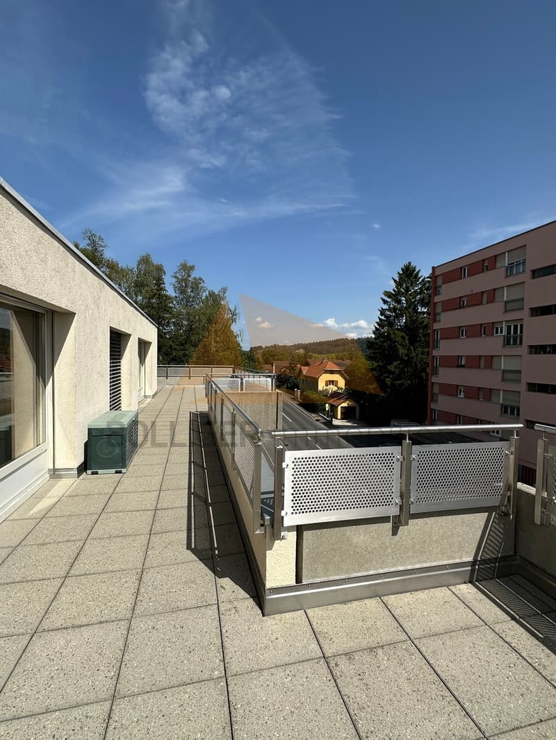 A VENDRE magnifique attique de 5.5 pièces et annexes (4)