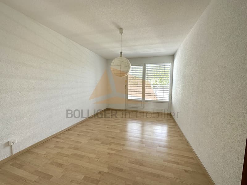 A VENDRE magnifique attique de 5.5 pièces et annexes (7)