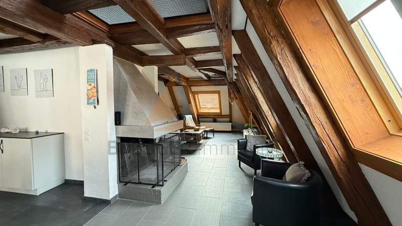 A VENDRE APPARTEMENT DE CARACTÈRE DE 3.5 PIÈCES ET COMBLES AMÉNAGÉS (10)
