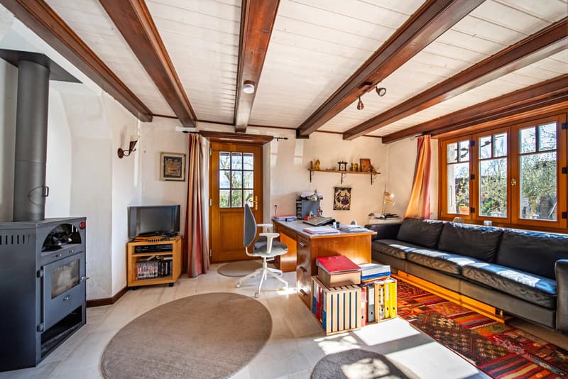 Peney-Dessus Geräumiges Duplex mit 7 Zimmern und Garten (7)