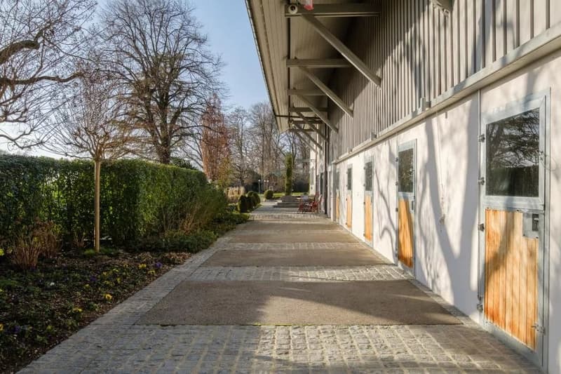 Propriété équestre à Genève Rive gauche (4)