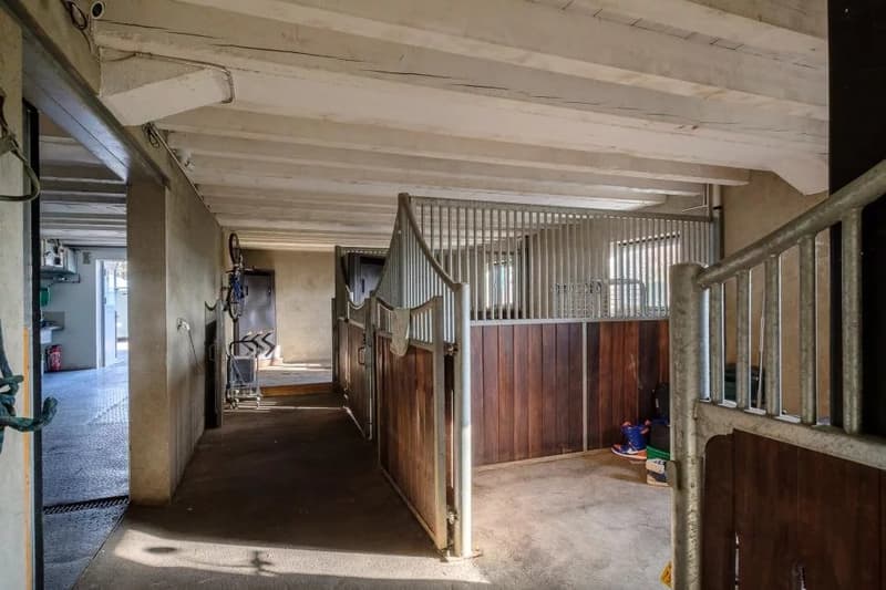 Propriété équestre à Genève Rive gauche (7)