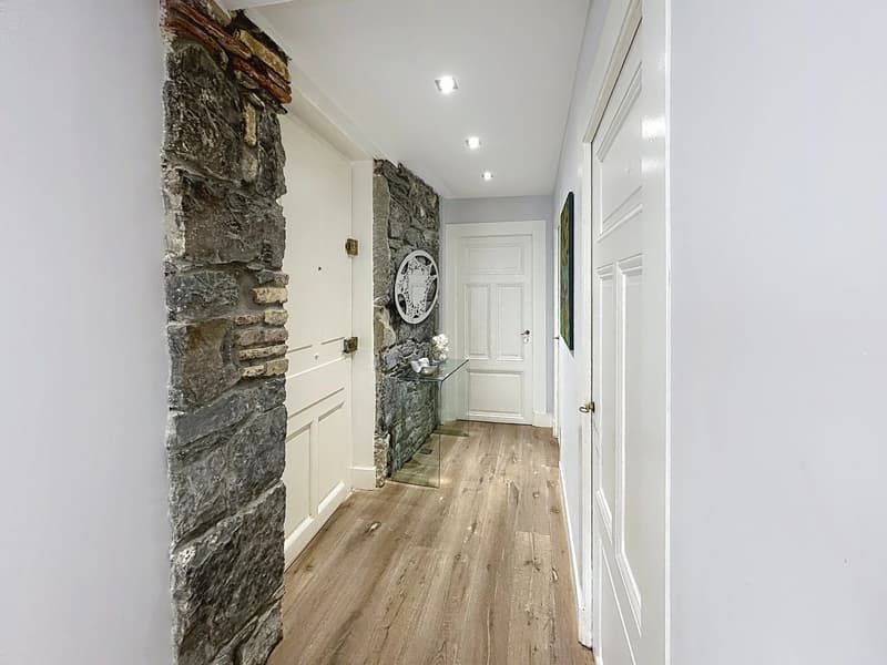 Elegance and charm in the heart of Pâquis (3)