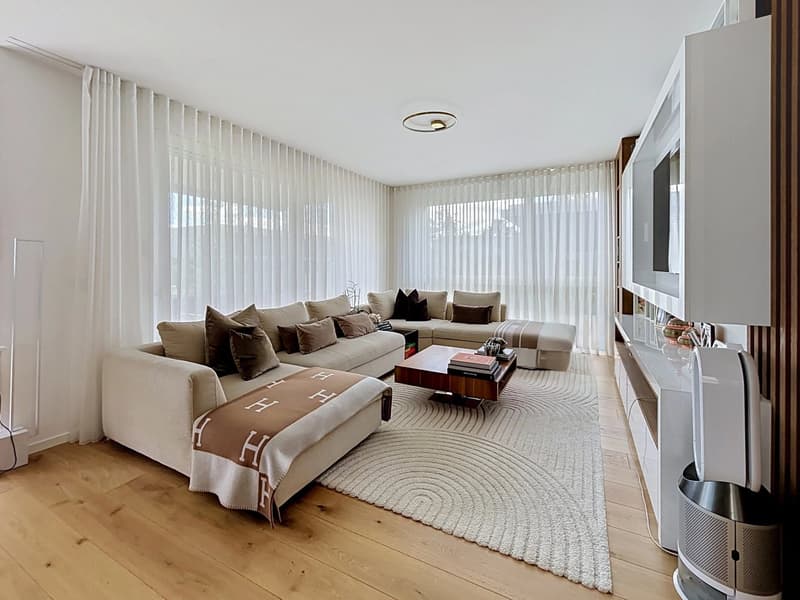 Eleganza e comfort contemporaneo (5)
