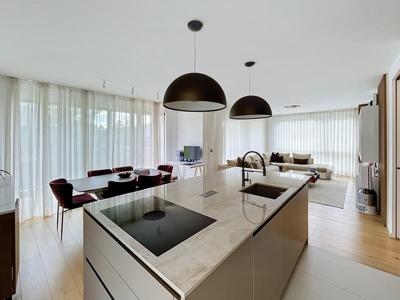 Eleganza e comfort contemporaneo (7)