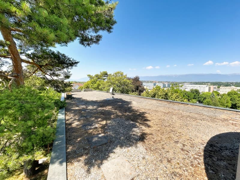 Villa ispirata a Le Corbusier - Arare (8)