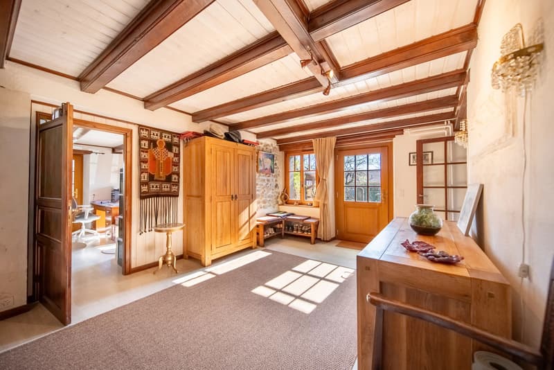 Peney-Dessus Spacious 7-room duplex with garden (11)