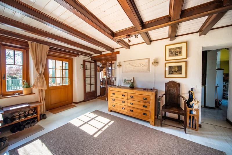 Peney-Dessus Spacious 7-room duplex with garden (5)