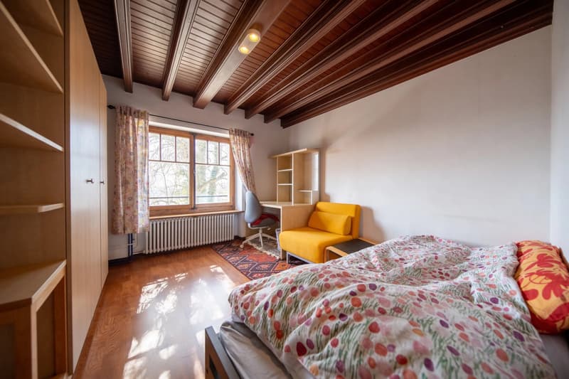 Peney-Dessus Spacious 7-room duplex with garden (12)