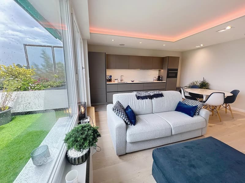 Penthouse 2 ch rénové au Grand-Saconnex (3)