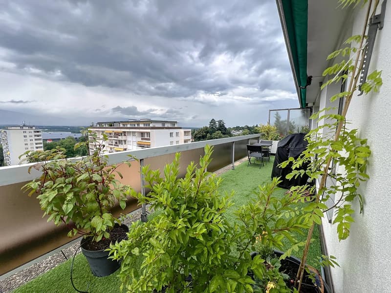 Penthouse 2 ch rénové au Grand-Saconnex (12)