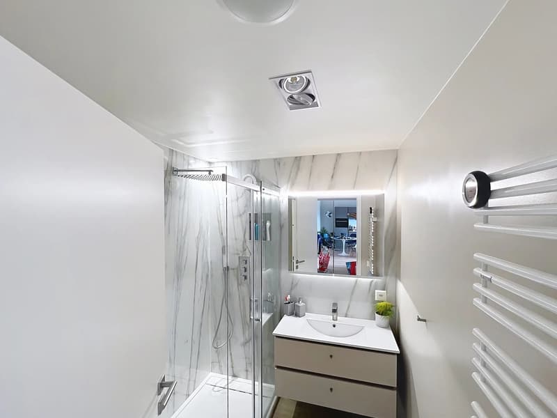 Penthouse 2 ch rénové au Grand-Saconnex (7)
