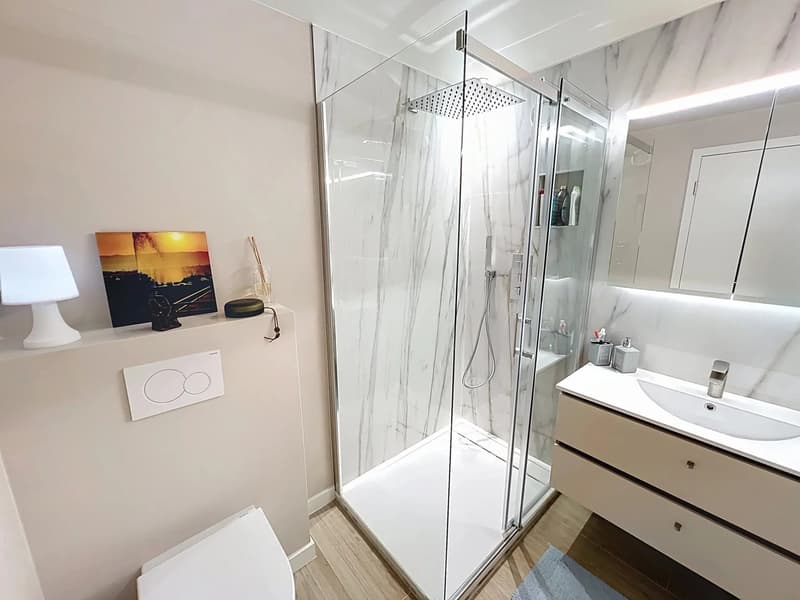 Penthouse 2 ch rénové au Grand-Saconnex (6)