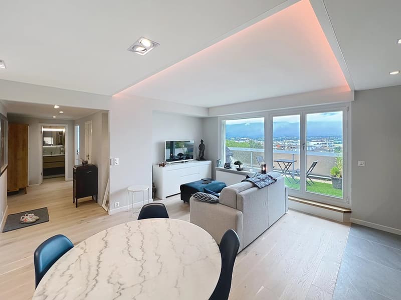 Penthouse 2 ch rénové au Grand-Saconnex (2)