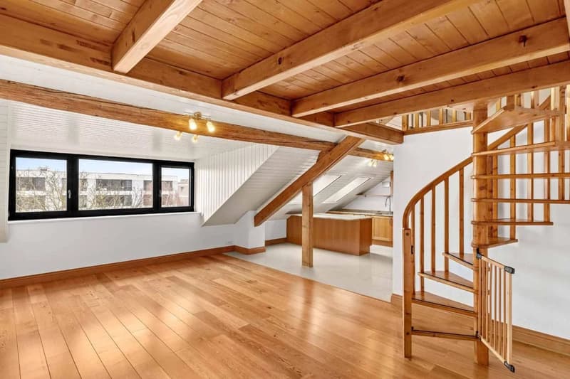 Appartement de charme sous les toits ? Au coeur du Vieux Meyrin (7)