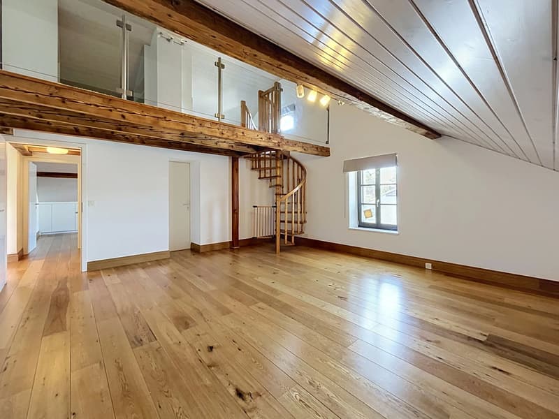 Appartement de charme sous les toits ? Au coeur du Vieux Meyrin (12)