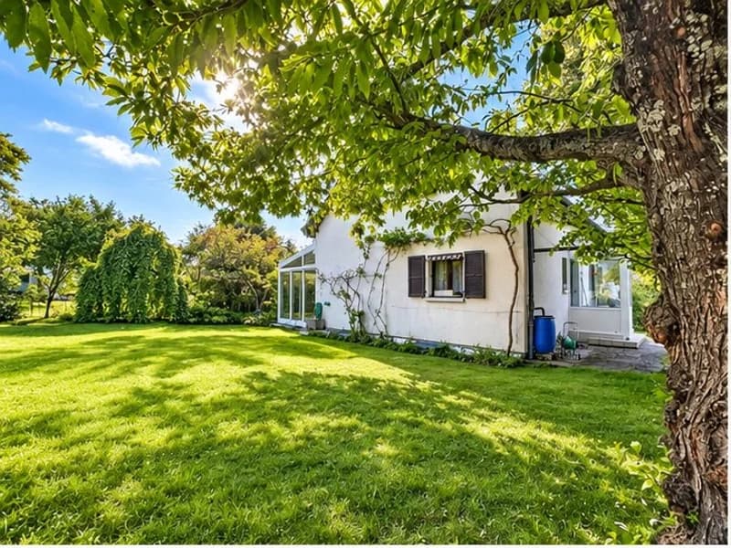 Vente - Maison individuelle Genthod (3)