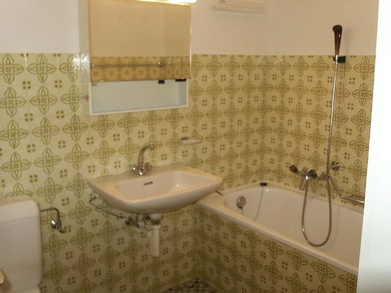 Investment opportunity ? Rental property ! (11)
